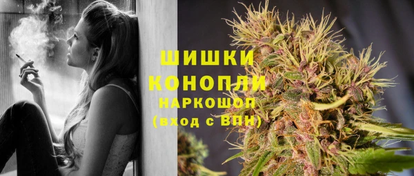 крисы Кинешма