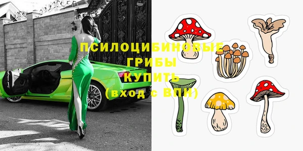 спиды Киреевск
