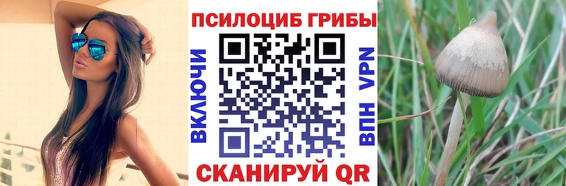 Галлюциногенные грибы прущие грибы Купить закладки Глазов