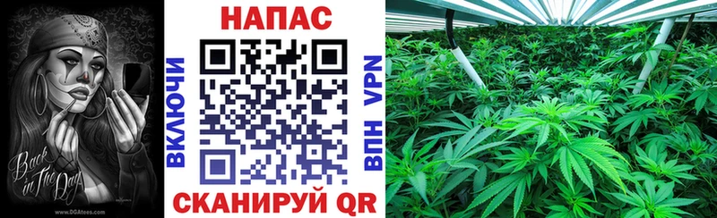 Купить закладки Глазов Бошки Шишки White Widow